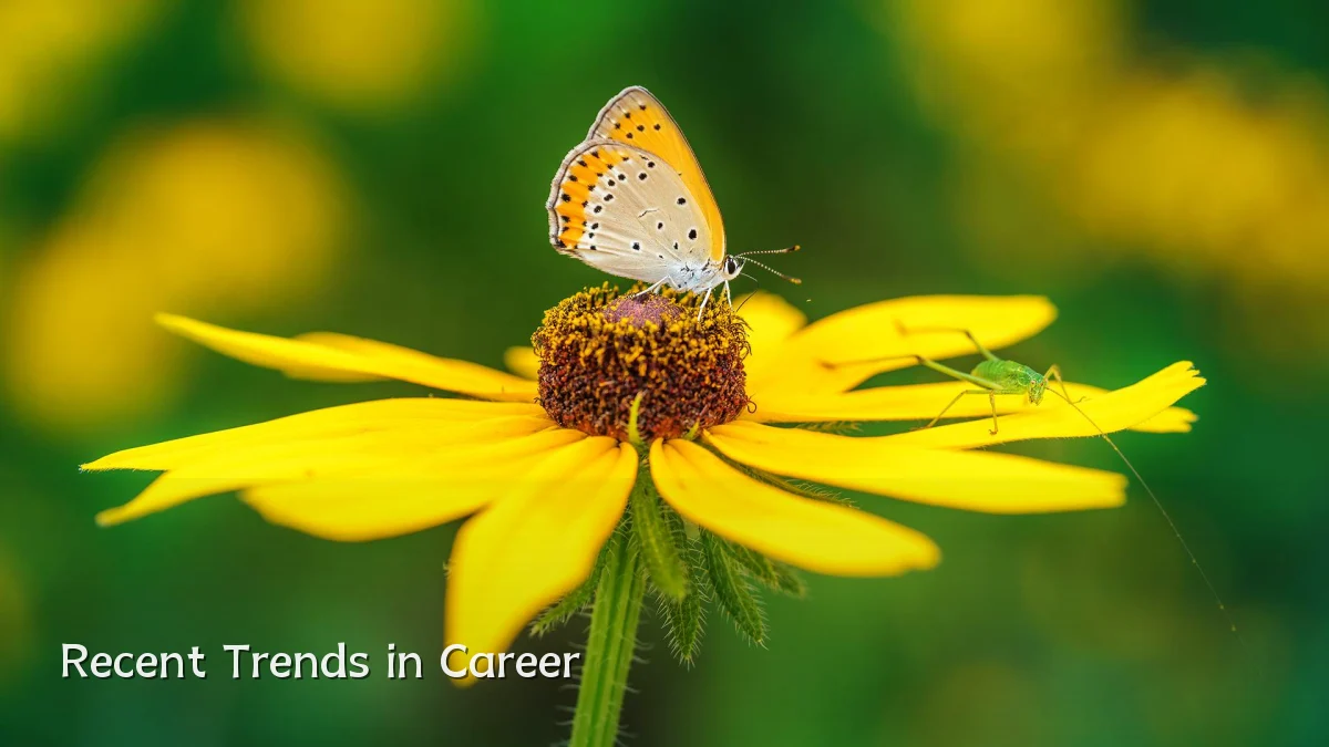 Recent Trends in Career