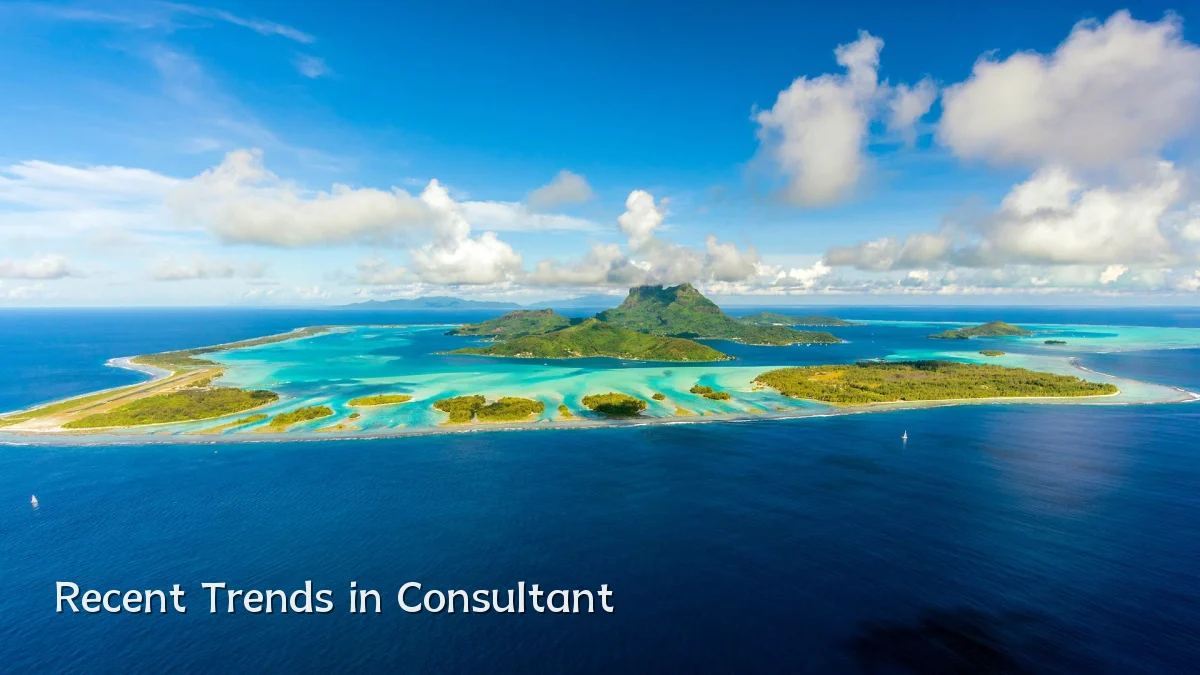 Recent Trends in Consultant