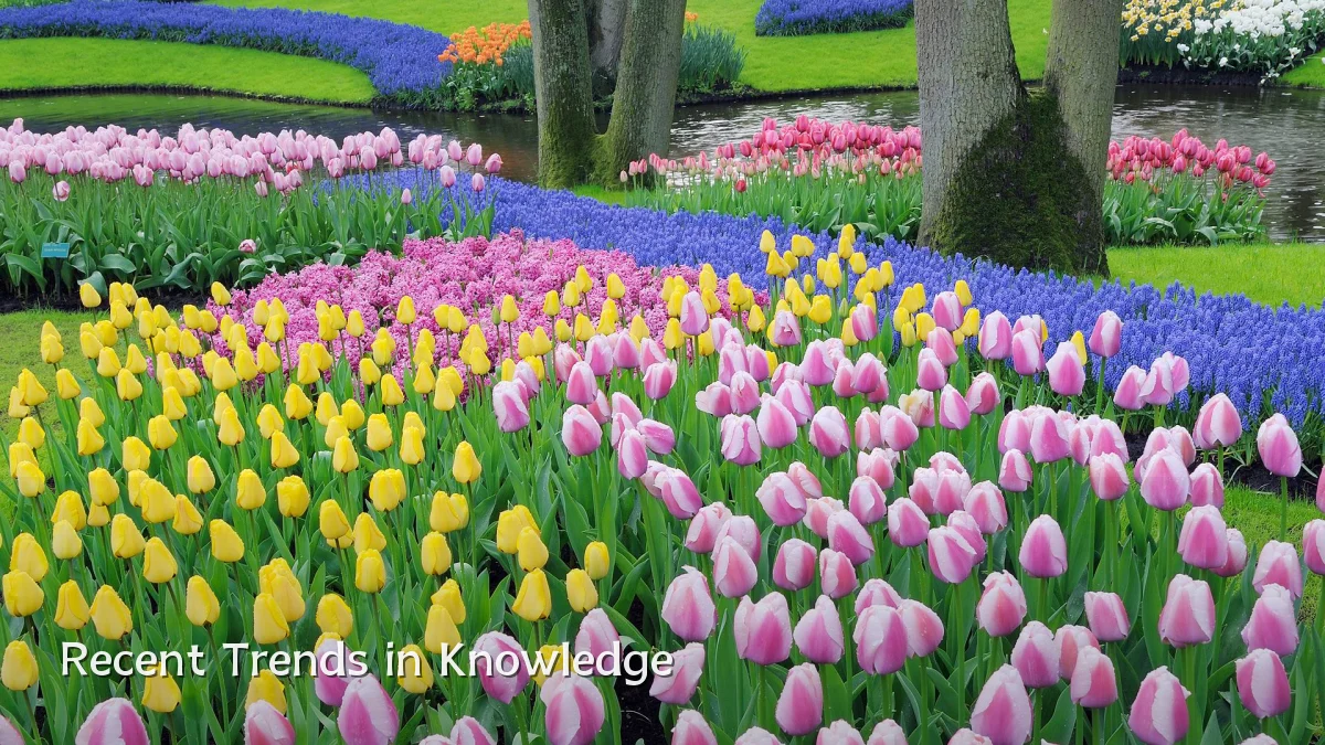 Recent Trends in Knowledge