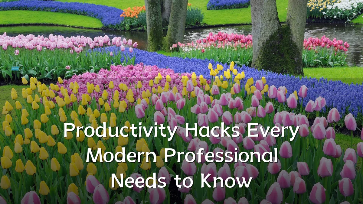 Productivity Hacks Every Modern Professional Needs to Know