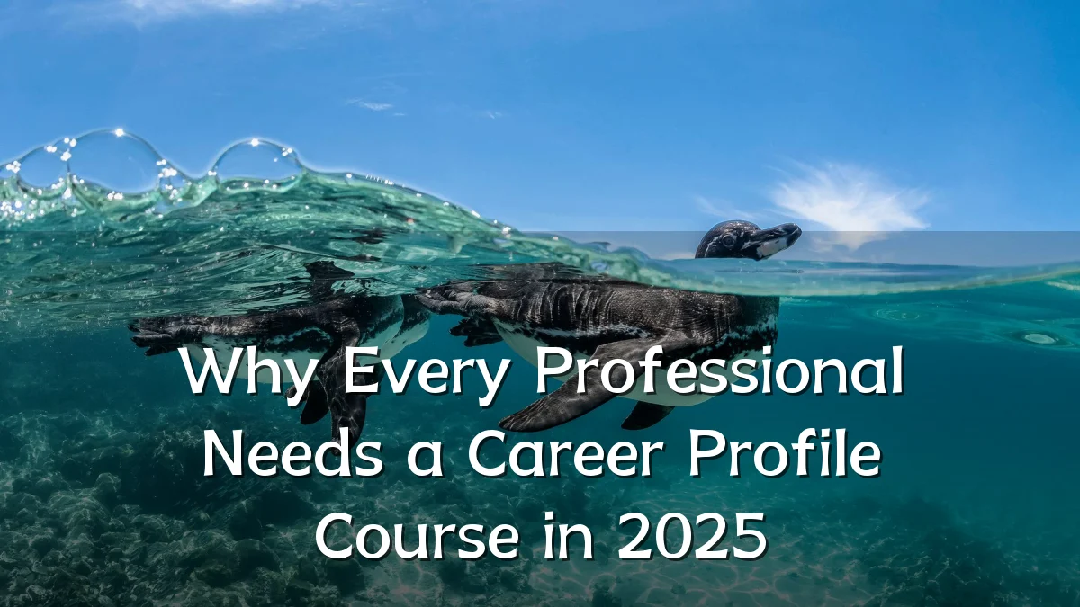 Why Every Professional Needs a Career Profile Course in 2025